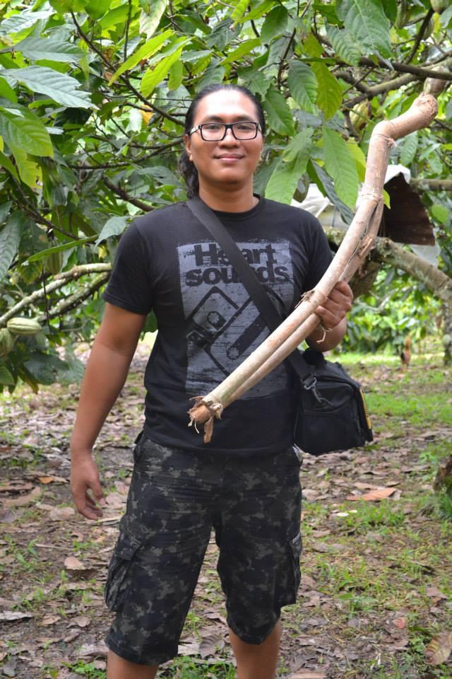 Bambu Bercabang alias Pring Pethuk...