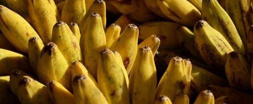 Selain Kurma, 5 Buah Ini Dijamin Bikin Puasa Sehat & Lebih Berkah