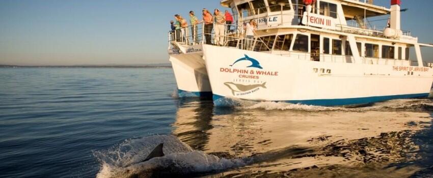 4 Destinasi Alam Wajib di New South Wales, Bikin Gak Mau Pulang!