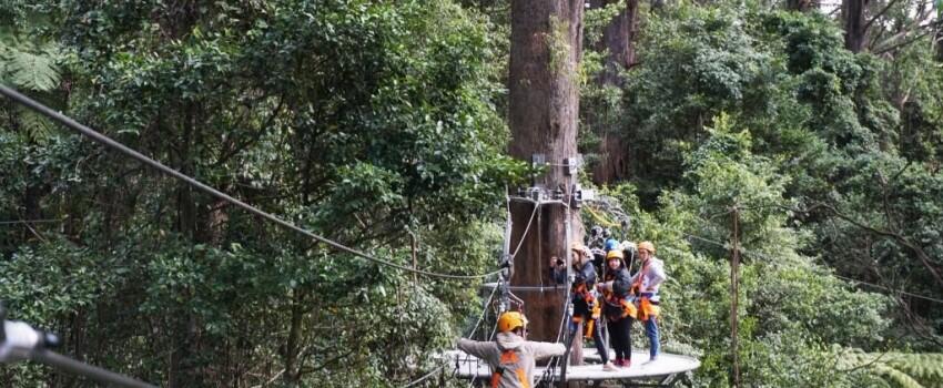 4 Destinasi Alam Wajib di New South Wales, Bikin Gak Mau Pulang!