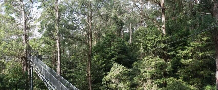 4 Destinasi Alam Wajib di New South Wales, Bikin Gak Mau Pulang!