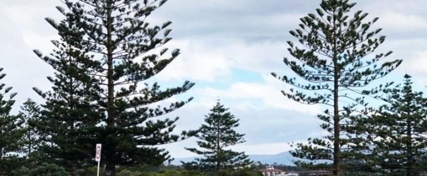 4 Destinasi Alam Wajib di New South Wales, Bikin Gak Mau Pulang!