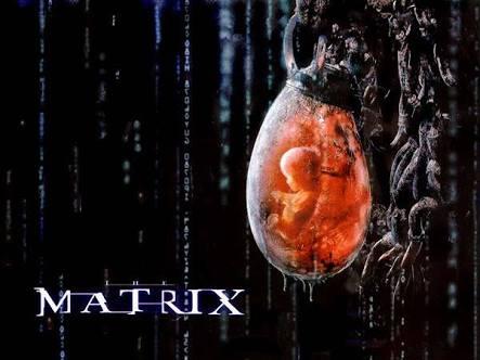 Peternakan "Manusia Buatan" Berhasil Di Ciptakan