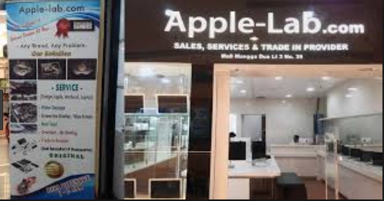 PENGALAM PERTAMA MENJADI DROSHIPER