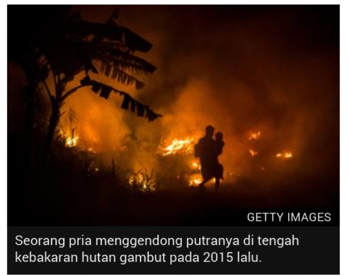 Investigasi BBC: 'Habitat 1.000 Orang Utan' di Hutan Gambut Kalimantan Barat Terancam