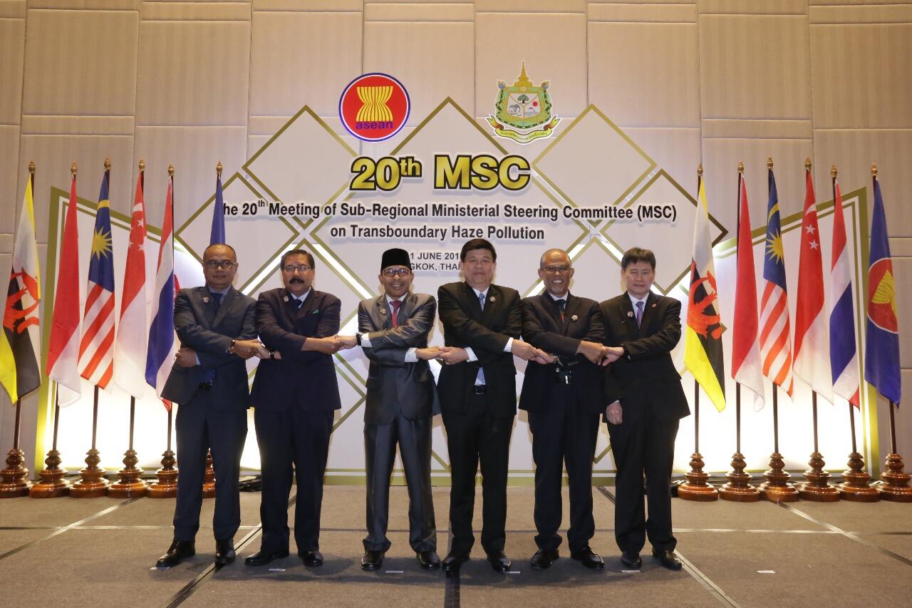 Negara ASEAN Apresiasi Keberhasilan Indonesia Cegah Karhutla