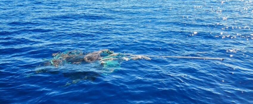 Kampanyekan Anti-Plastik, Pria ini Berenang Lalui Jalur Sampah Pasifik