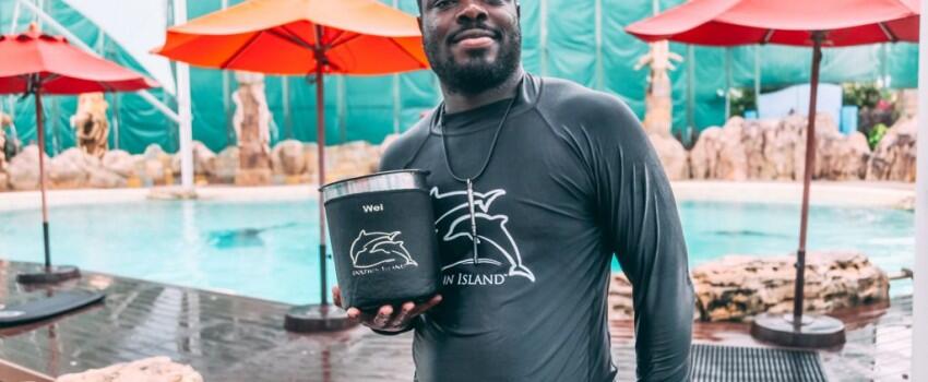 9 Potret Seru Bermain bareng Lumba-lumba di Dolphin Island Singapura