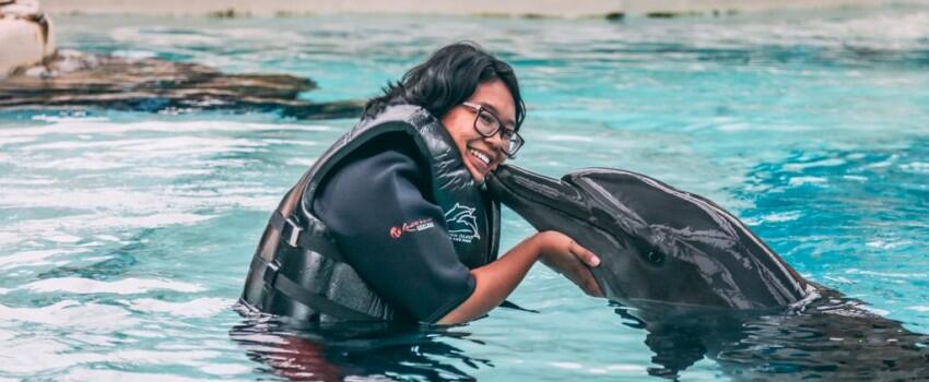 9 Potret Seru Bermain bareng Lumba-lumba di Dolphin Island Singapura