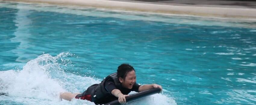 9 Potret Seru Bermain bareng Lumba-lumba di Dolphin Island Singapura