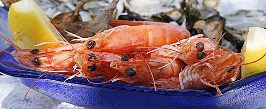 Super Segar, Yuk Bikin Sup Tom Yam ala Rempah Indonesia!