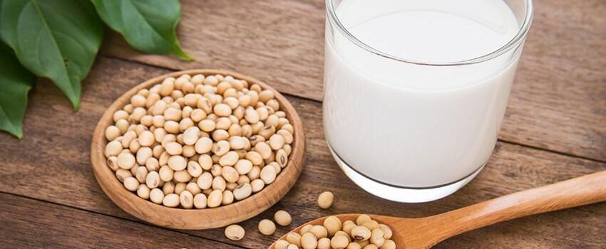 Wajib Dicoba, 7 Resep Susu Kacang Buatan Sendiri Ini Lezat dan Bergizi