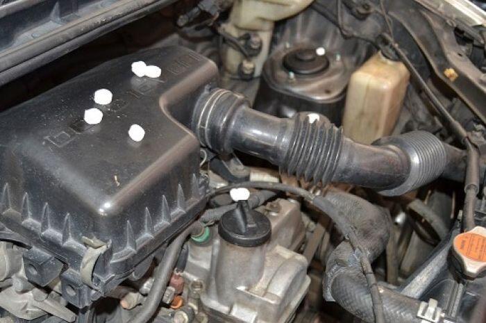 Pasti Ampuh! Lindungi Mobilmu dari Bahaya Tikus dengan 7 Cara Ini