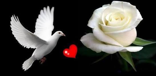 Ketika Burung Jatuh Cinta, Oh Alangkah Romantisnya