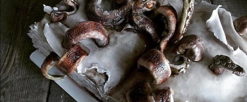 15 Kue Paling Unik Karya Chef Rusia, Bentuk Rusa hingga Buku Dongeng!