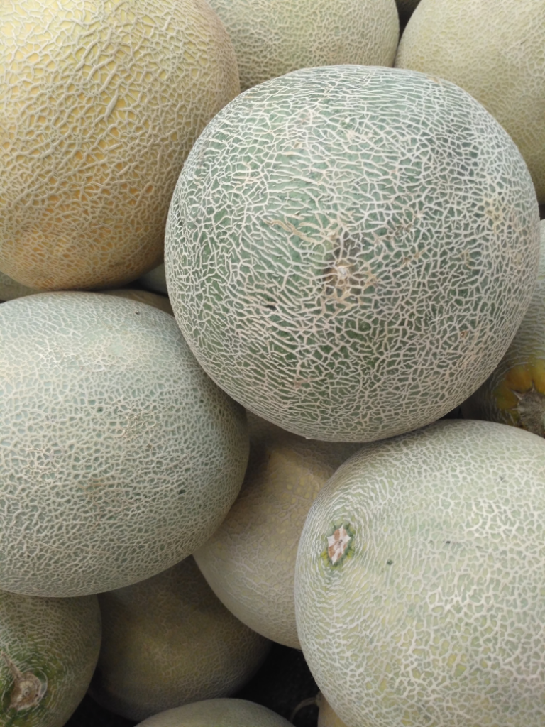 Nutrisi Dalam Buah Mangga, Nanas, Melon Dan Semangka
