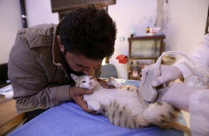 Di Tengah Perang Suriah, Pria Ini Dirikan Klinik Hewan

