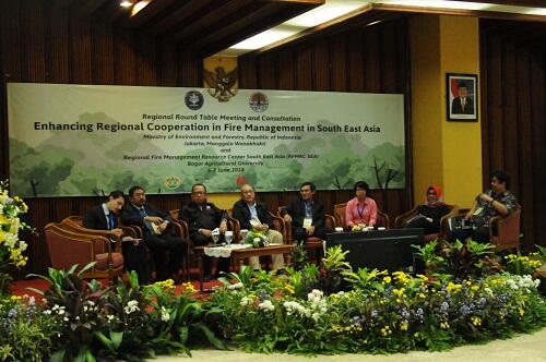 Indonesia Paparkan Strategi Kolaboratif Penanganan Karhutla Kawasan ASEAN