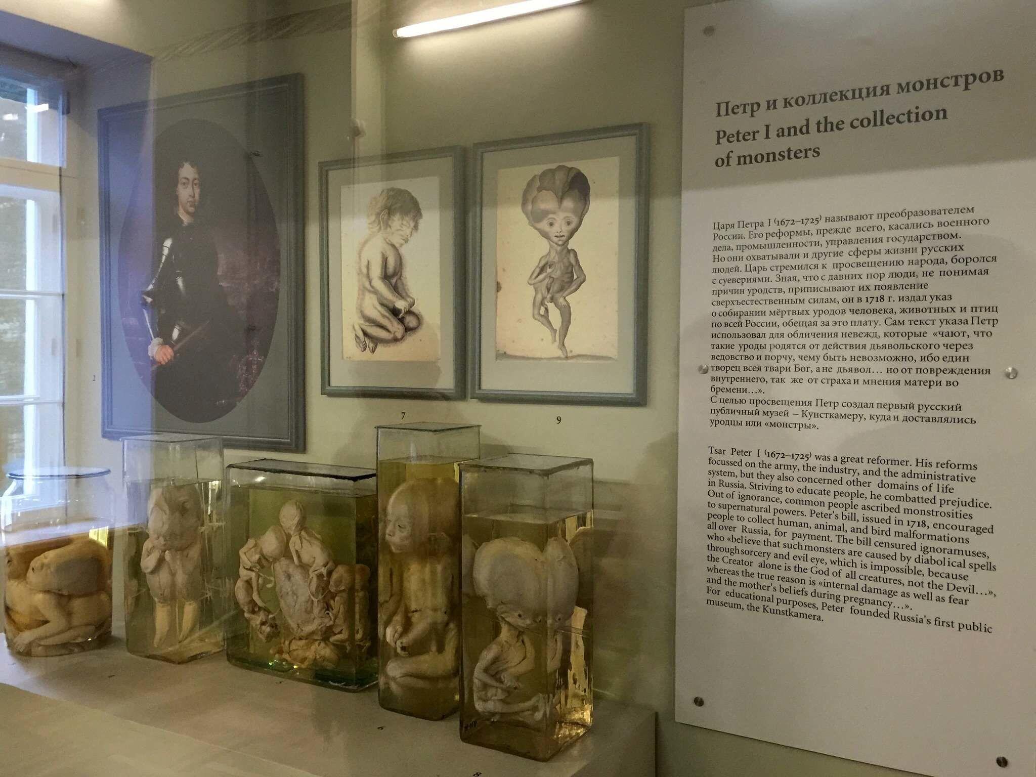 Traveling Edukatif, Yuk Kunjungi 5 Museum Aneh di Dunia Versi CNN Ini