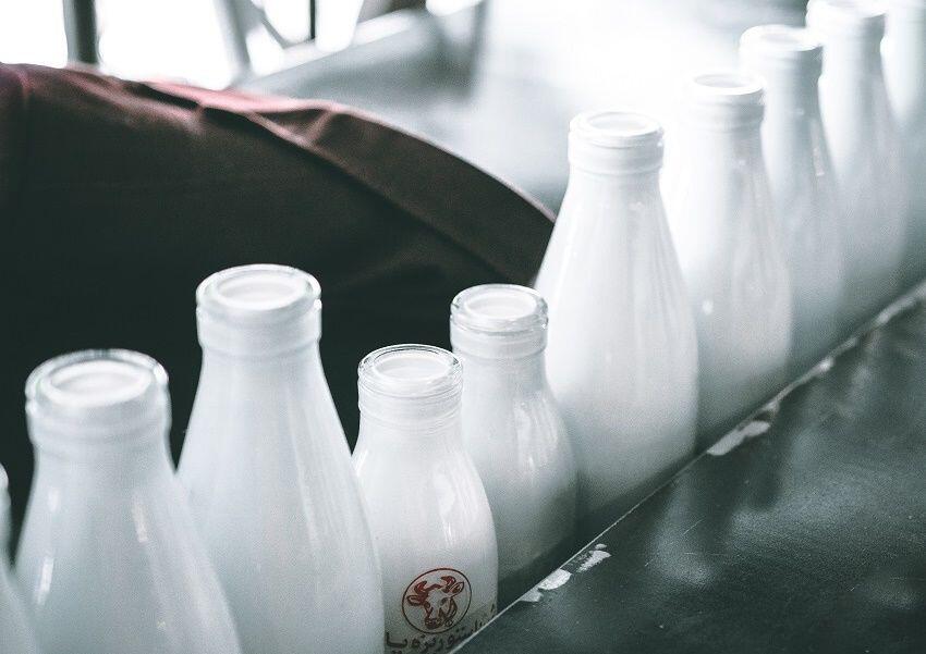 Ingin Memiliki Tubuh Berotot? 5 Makanan Lezat Ini yang Wajib Disantap