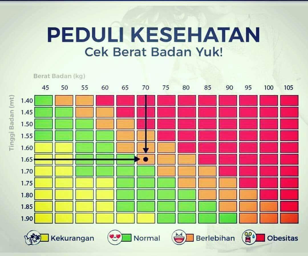 Raisa 'Mantan Terindah' Kepala Humas BNPB Sutopo, Berikut Rekam Jejak Cintanya