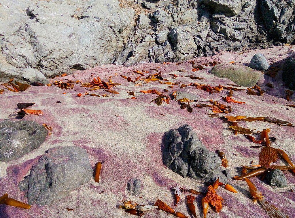 5 Pantai dengan Pasir Warna-warni Terindah di Dunia