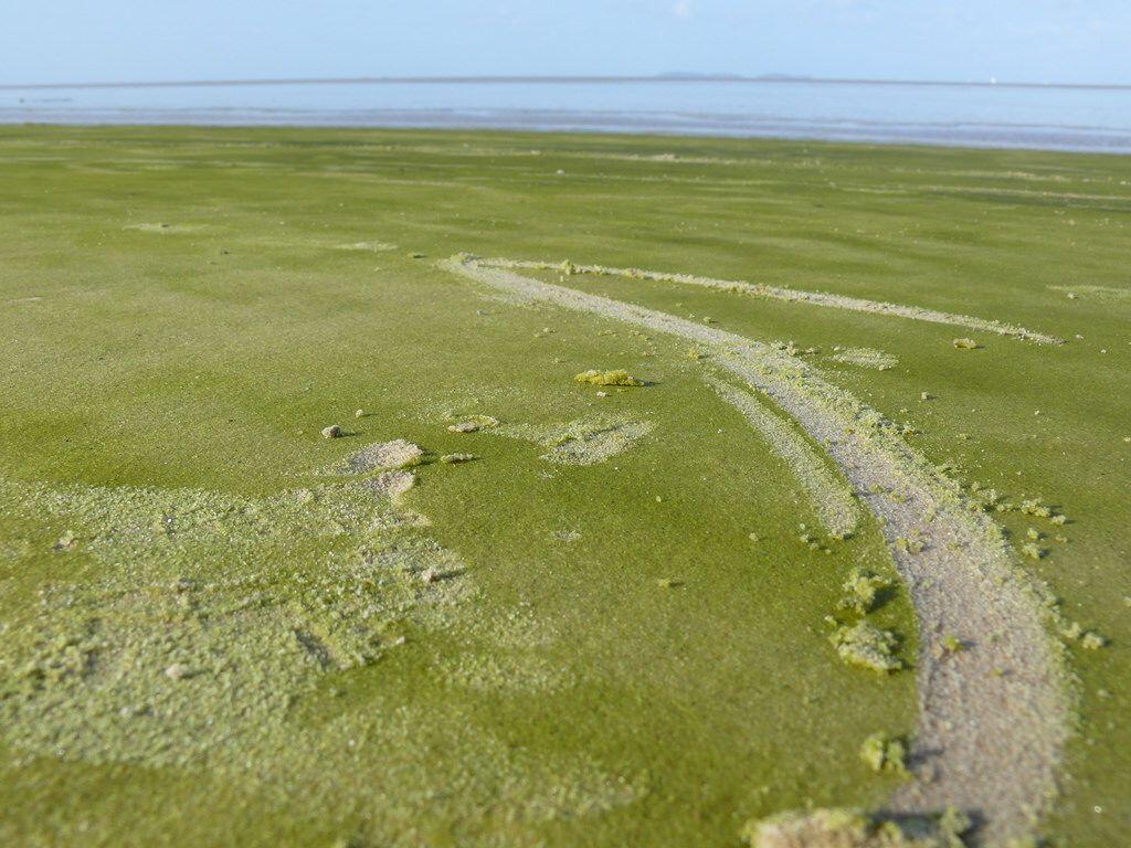 5 Pantai dengan Pasir Warna-warni Terindah di Dunia