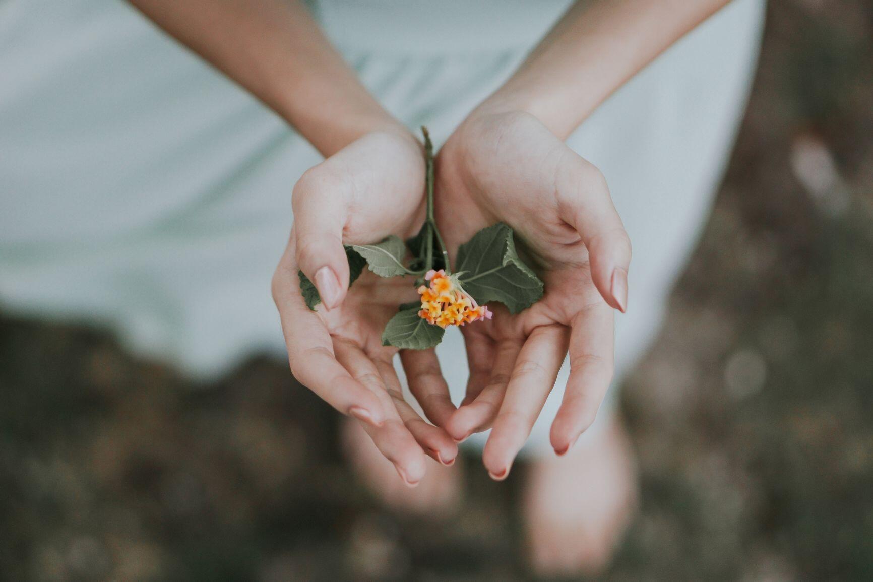 15 Quote Menggugah Jiwa dalam Novel Bumi Manusia Karya Pramoedya