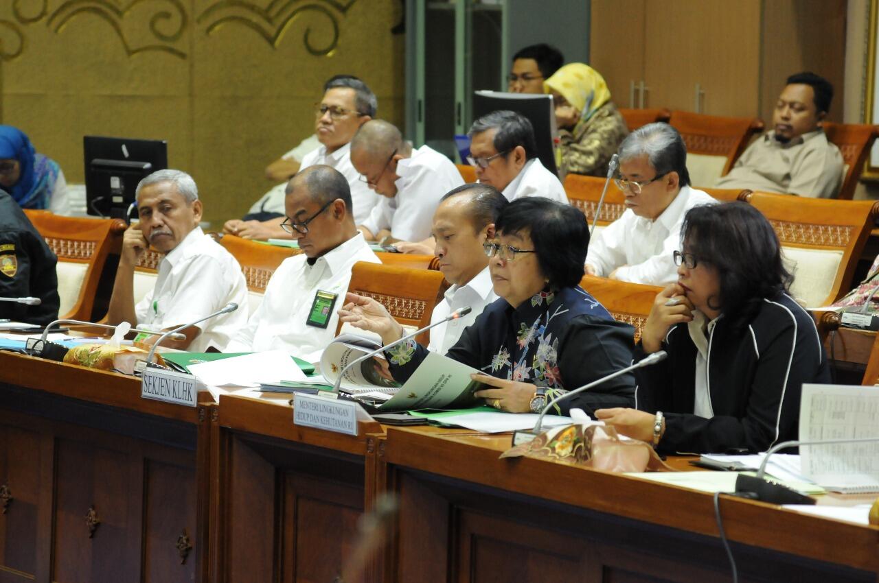 KLHK Targetkan 230 Ribu Hektare Penanaman Pohon di Tahun 2019