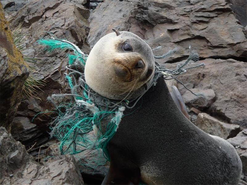 World Ocean Day 2018, Yuk Kita Jaga Kelestarian Laut dari Polusi Plastik