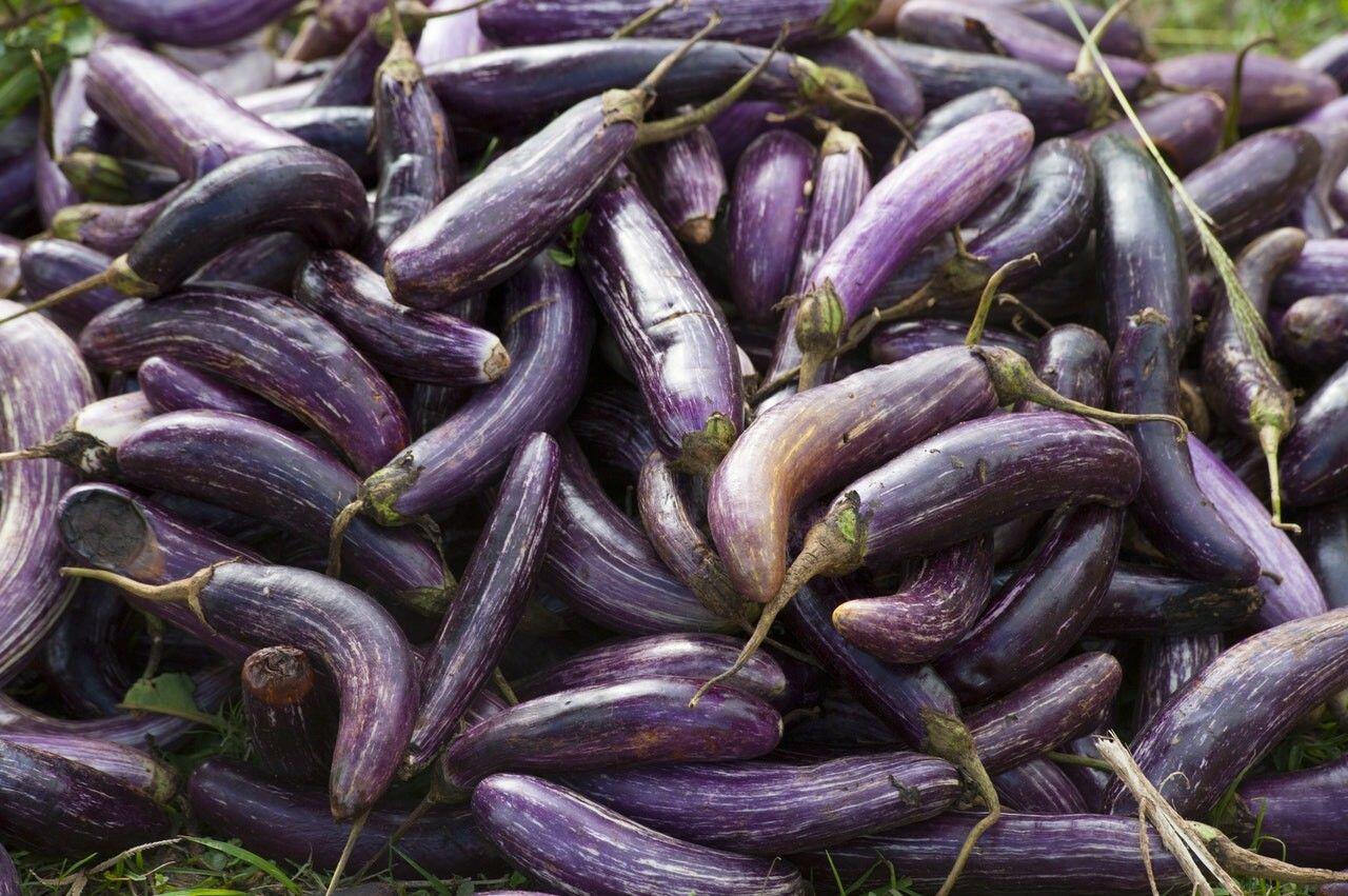 6 Makanan yang Wajib Dihindari Cewek agar Sistem Reproduksinya Subur