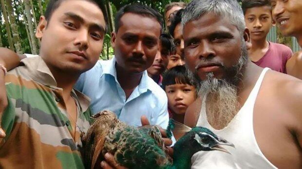 MANUSIA BARBAR! Seekor &quot;Burung Merak MATI&quot;,Karena Jadi REBUTAN FOTO SELFIE!