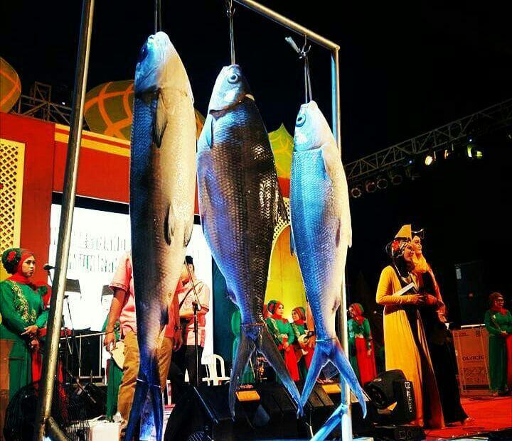Wow!! Ikan Bandeng Berbobot 14 Kg Juarai "Festival Pasar Bandeng" di Gresik &#91;Tradisi 