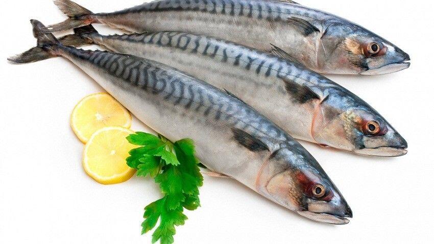 Pas Buat Buka Puasa, Ini Resep Pempek Kapal Selam Khas Palembang