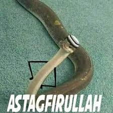 Kejadian Lumayan Kocak
