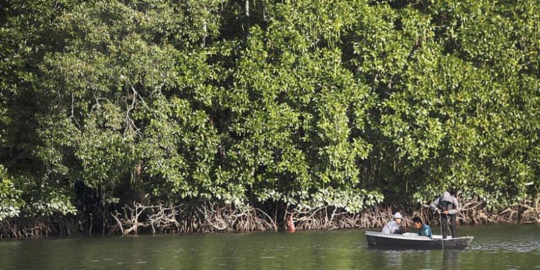 Peranan Hutan Bakau (Mangrove) Sebagai Barier Pesisir Pantai Dari Serangan Abrasi