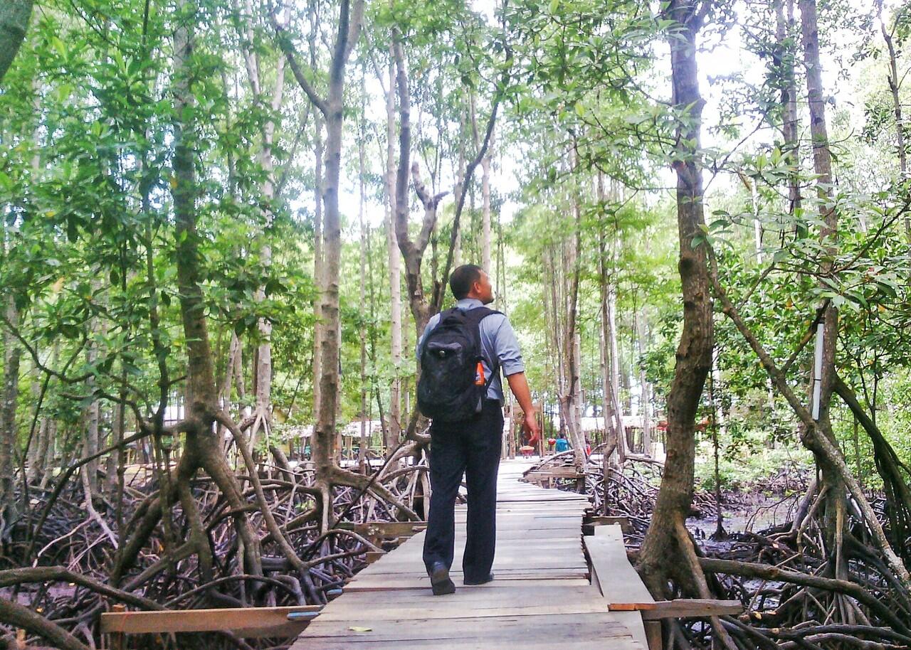 Peranan Hutan Bakau Mangrove Sebagai Barier Pesisir Pantai Dari