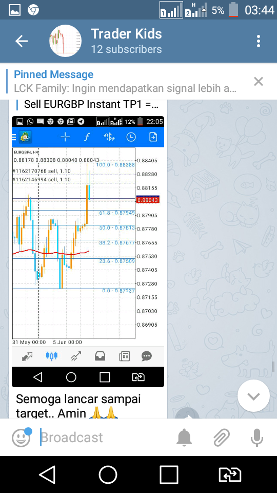 Signal Gratis Harian dengan Accurasi 90%