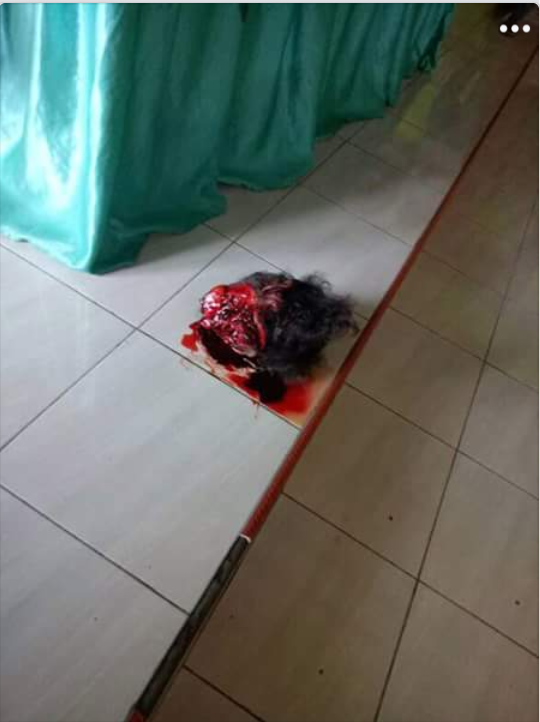 Dendam Masalah Patok Tanah Membawa Petaka