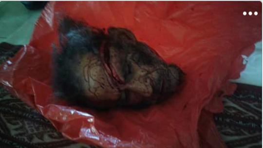 Dendam Masalah Patok Tanah Membawa Petaka