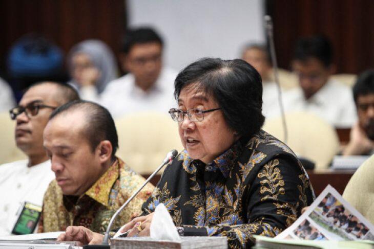 KLHK Targetkan Tanami DAS 230.000 Hektare