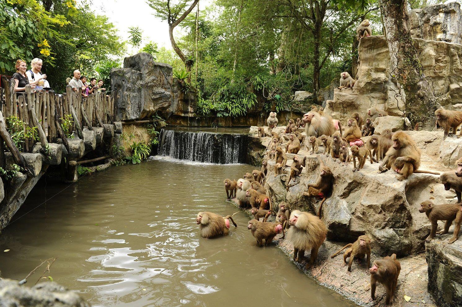 Hadirkan Wisata Malam di Tengah Hutan, Singapore Zoo Jadi Makin Seru!