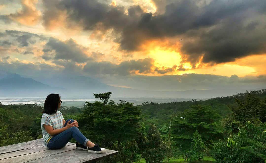 8 Rest Area Kece untuk Singgah Pemudik, Bikin Pikiran Segar Kembali