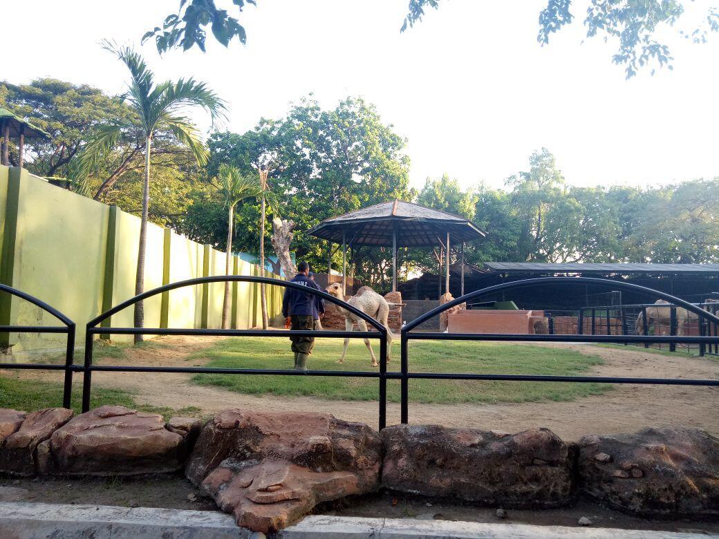 Poles KBS, Surabaya Siapkan Jogging Track hingga Modernisasi Wahana