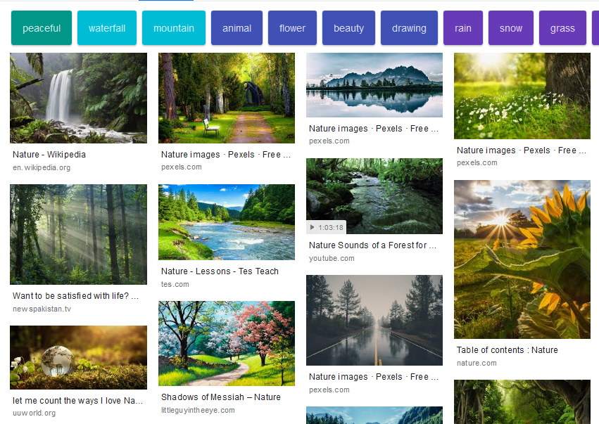 GOOGLE IMAGE di browser ane kok beda ya?