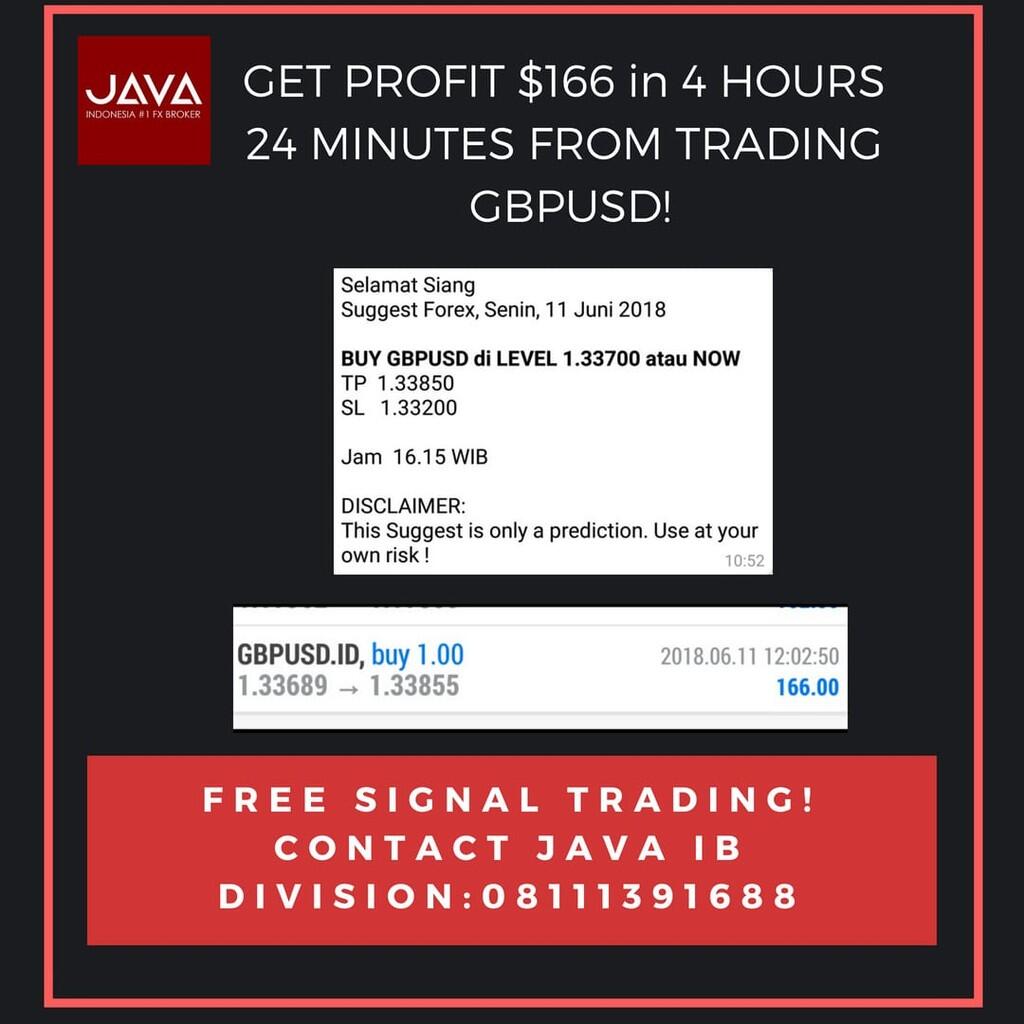 Get Profit From Signal Forex JAVA for Client IB