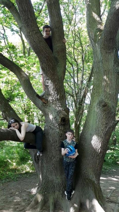 Ngeri! Mulanya Cuma Foto-foto di Pohon, Gak Nyangka Ada Penampakan Hantu Menyeramkan