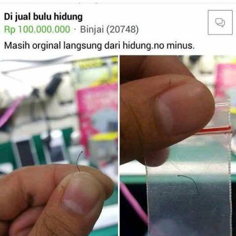 Dan Muncul Lagi, 13 Postingan Alay di Facebook ini Bikin Tepuk Jidat, Serba Gak Jelas