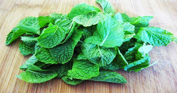 5 Bahan Alami Ini Bisa Bikin Kamu Tampil Flawless Saat Lebaran