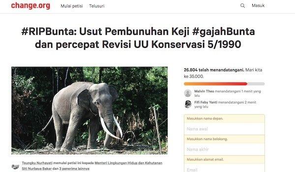 Sayembara! Barang Siapa Mengungkap Pembunuh Gajah Bunta, Maka…